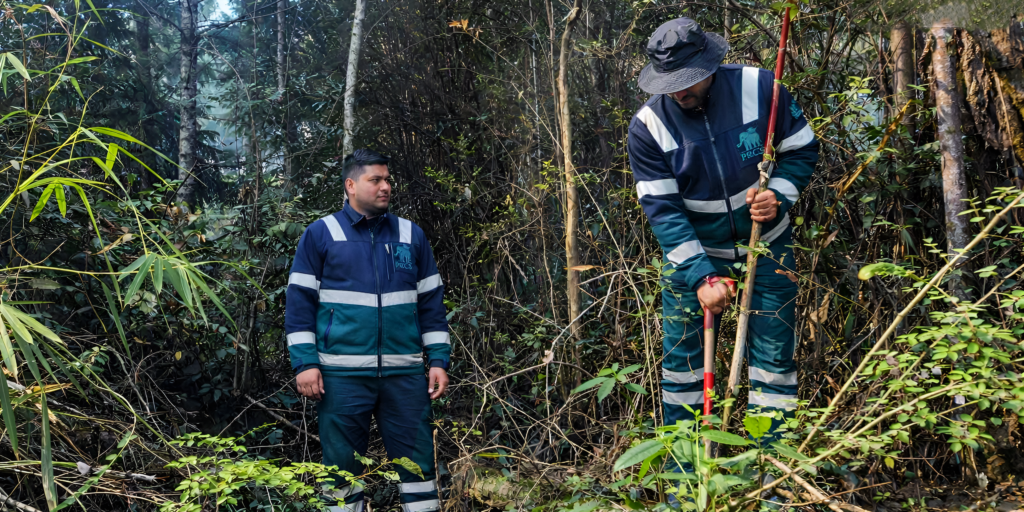 Detailed Sub-soil Investigation for Proposed Bridge Over Pachu River, Near Paro International Airport.
